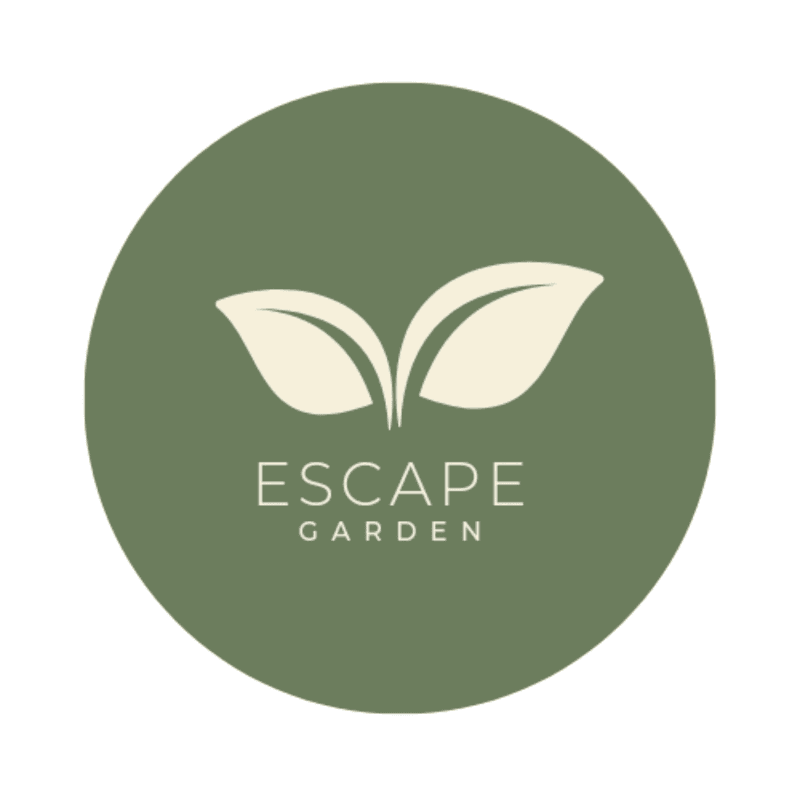 Escape shake✨